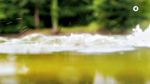 Blurry underwater view of splashing water surface with green trees and foliage in background