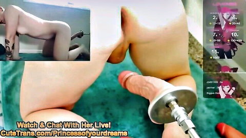 Amateur trans girl on all fours with sex machine anal penetration