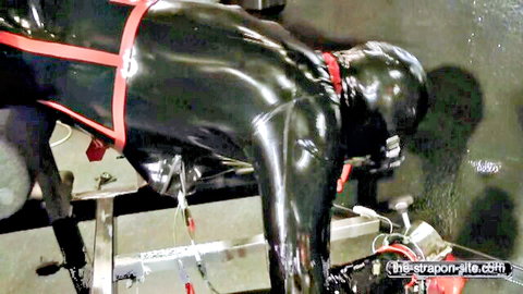 Madame Zoe in latex harness fucked and electro shocked in BDSM scene