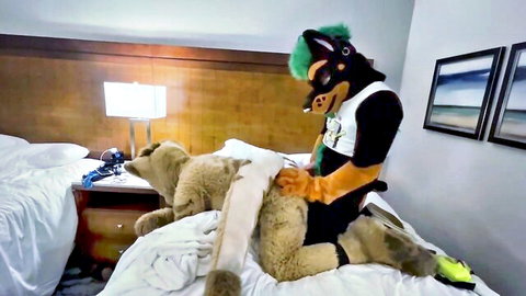 Furry fox fursuiter humps teddy bear doggystyle on hotel bed