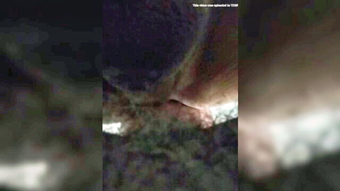 Blurry close-up of daddy rimming Latino ass in explicit action