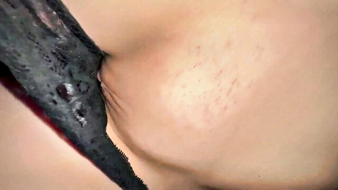 Closeup of woman's hairy pussy exposed with black thong pulled aside