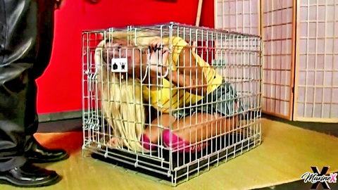 Maxine X blonde in yellow top and jeans caged for kinky play