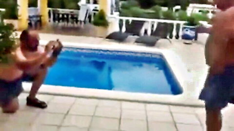 Hairy bear duo in swim trunks gaming by poolside, Tacata Bear 2