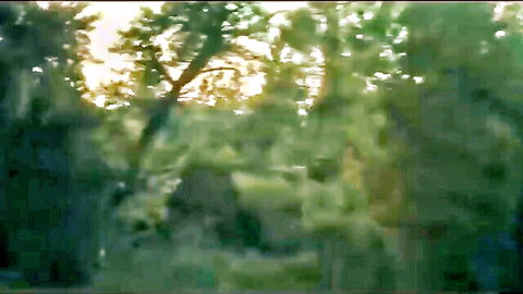 Blurry forest scene at dusk in Horny Friends adult video