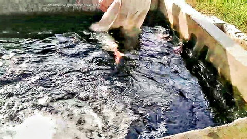 Handsome Pakistani guy bathing in tubewell waters