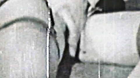 Blurry vintage MILF in white lingerie teasing big tits on couch