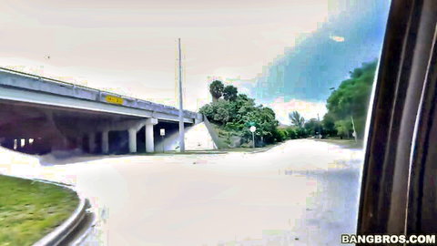 Car view of empty road and palms under highway bridge in Bangbros public sex video
