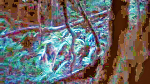 Stephanie Amarell, Marie Tragousti, Ivy LiBack full frontal nude tits in dark forest, Abendland 2024