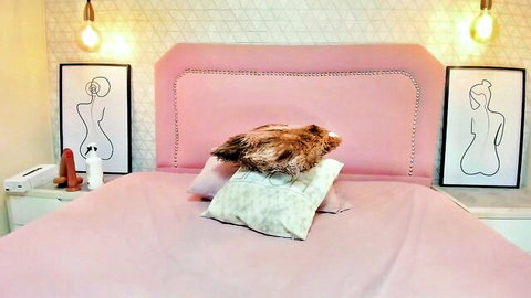 Taylormeller pink bedroom setup with dildo toy on nightstand