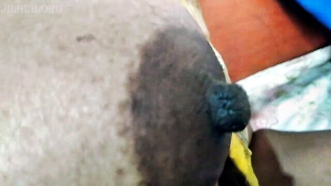 Dark-skinned hairy asshole stuffed with black anal plug in homemade close-up