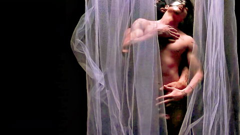 Austin Wilde nude muscular pose behind sheer curtains with mask