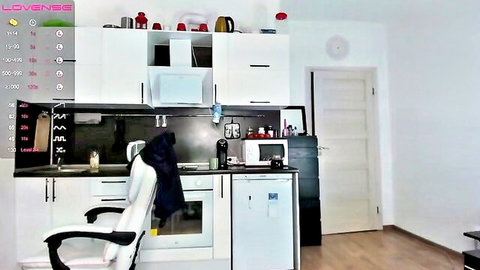Kitchen interior from Dr_your_dream webcam show