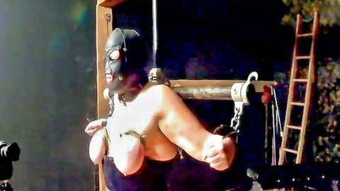 Bound Slave Cow in BDSM hood endures pole tit beating, exposed large breasts