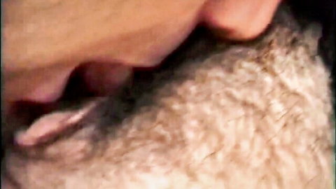 Homemade wife giving blowjob to husband in close-up oral sex