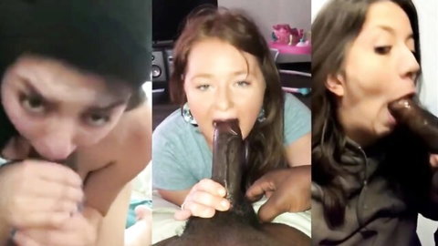 Three white women eagerly sucking massive black cocks in sloppy blowjob closeups