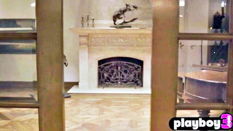 Empty luxurious living room interior with ornate marble fireplace and playboy watermark
