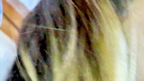 Blurry close-up of blonde highlighted hair strands teasing explicit view