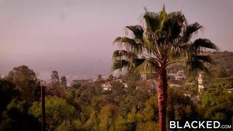 Samantha Hayes overlooking LA hills and ocean from lush balcony