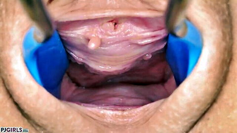 Zara Lick intimate vaginal close-up with speculum spread