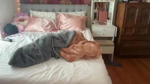 MayaXClarke teen bedroom with pink pillows and plushies