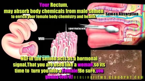 Sissy semen absorption diagram: rectum absorbs male sperm for female body health