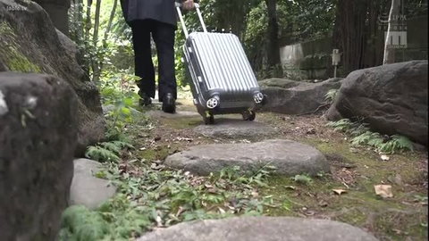 Businessman in suit pulling silver suitcase on forest path, JAV thumbnail