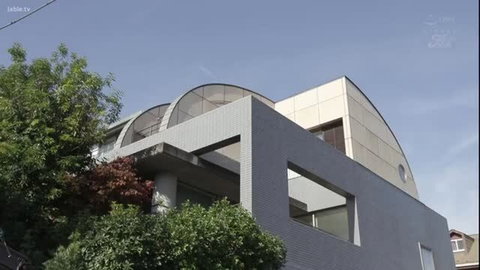 Modern Japanese house exterior with curved roofs and lush greenery