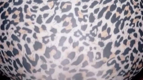 Hot leopard print thong on big white ass, daring stepdaughter tease