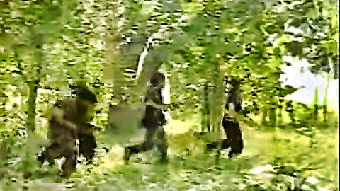 Three Asian women in camo uniforms running through lush forest