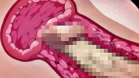 Hentai close-up of penis penetrating pink pussy in Otome Dori Ep 1