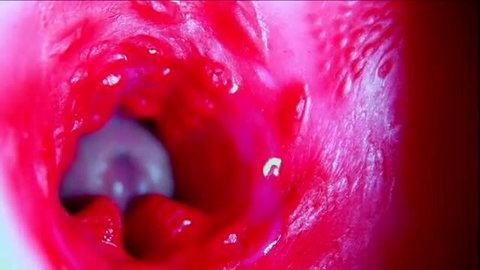 Closeup of moist pink vagina with wet labia and arousal fluids