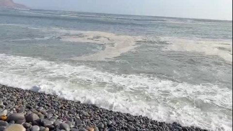 Levi Solen and Perfection at pebbly beach with ocean foam, inviting Airbnb hookup