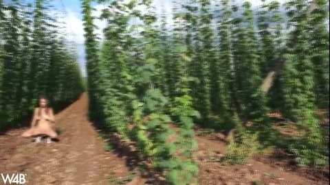 Exotic beauty bares slender naked body in hemp field outdoor shoot