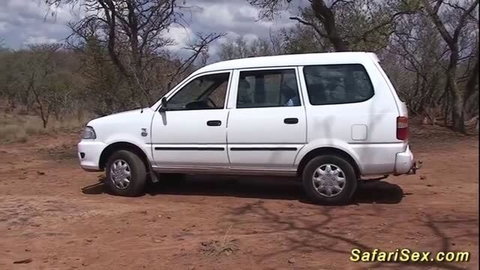White van in African bush safari for Afro Safari Sex Journey