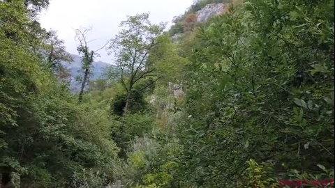 Nicky walking through forest path looking for blowjob spot