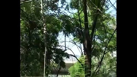 Outdoor forest sex audition video thumbnail with trees and bridge