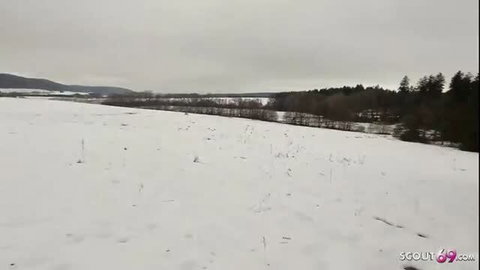 Snowy field landscape with forest edge under overcast winter sky