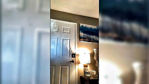 Blurry indoor scene of white door lamp vase and blue tree painting no nudity visible