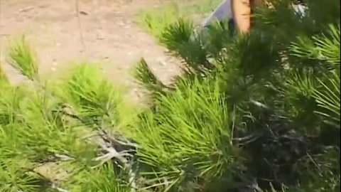 Teen gets horny sunbathing and receives cock outdoors