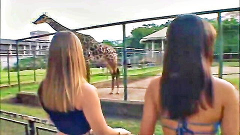 Bianca Biaggi and Katia Killer in bikinis viewing giraffe at zoo