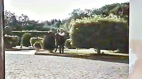 Rebecca embraces mysterious lover outdoors in Rebecca, La Signora Del Desiderio