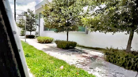 Scenic outdoor view from car window of modern white building pathway trees and lush green shrubs