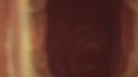 Close-up of dark wet vaginal opening with pink labia
