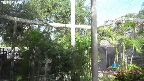 Lana Gee ATK Girlfriends outdoor Sarasota Part 4 scene