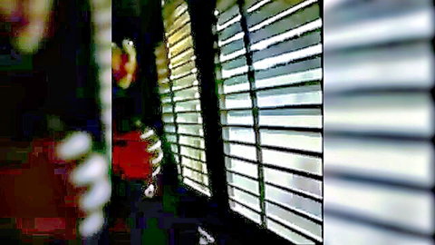 Dominique Simone and Veronica Brazil teasing seductively behind blinds