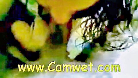 Brunette woman eagerly sucking cock like ice cream in steamy oral scene